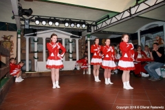image_0008