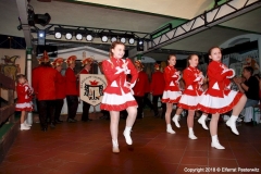 image_0009